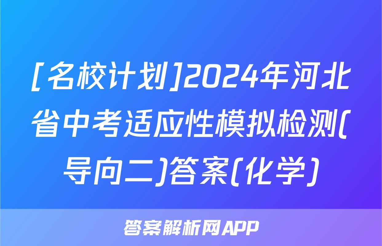 [名校计划]2024年河北省中考适应性模拟检测(导向二)答案(化学)