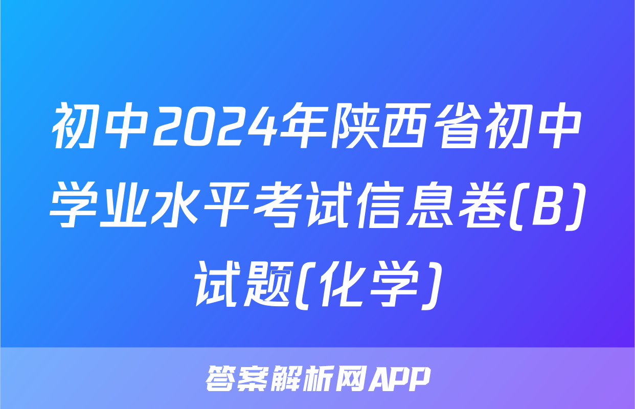 初中2024年陕西省初中学业水平考试信息卷(B)试题(化学)