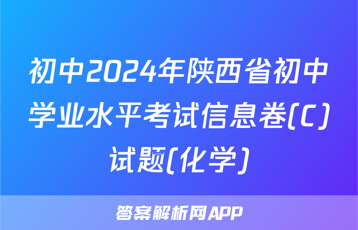 初中2024年陕西省初中学业水平考试信息卷(C)试题(化学)