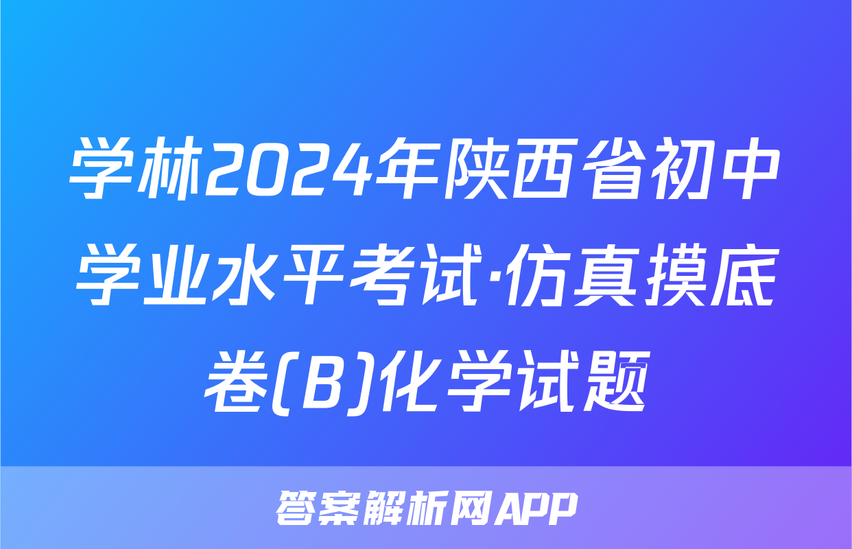 学林2024年陕西省初中学业水平考试·仿真摸底卷(B)化学试题