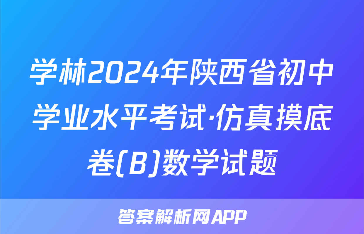 学林2024年陕西省初中学业水平考试·仿真摸底卷(B)数学试题