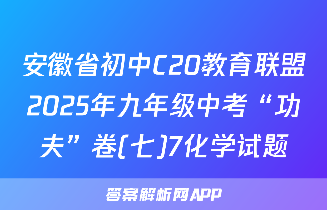 安徽省初中C20教育联盟2025年九年级中考“功夫”卷(七)7化学试题