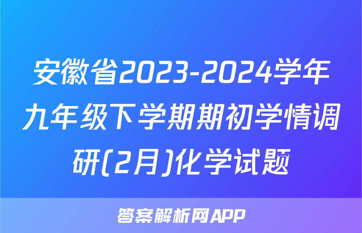 安徽省2023-2024学年九年级下学期期初学情调研(2月)化学试题