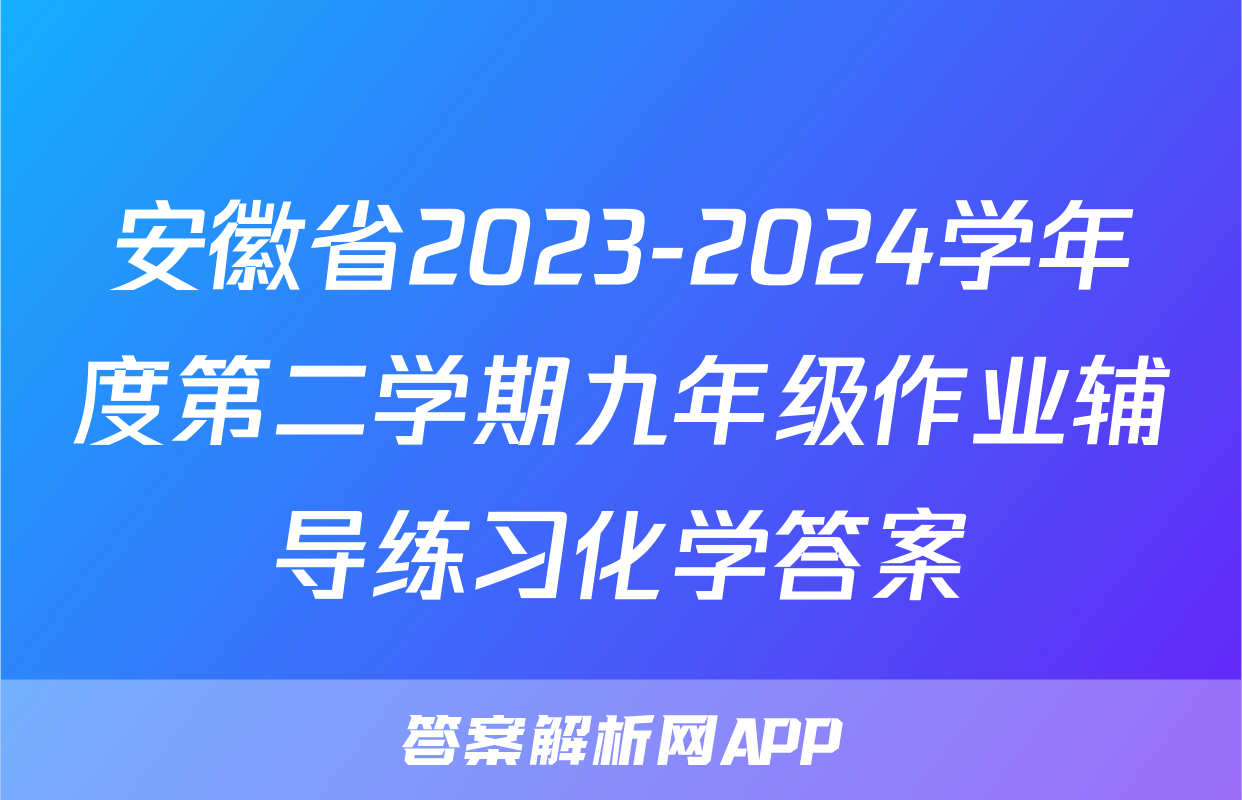安徽省2023-2024学年度第二学期九年级作业辅导练习化学答案