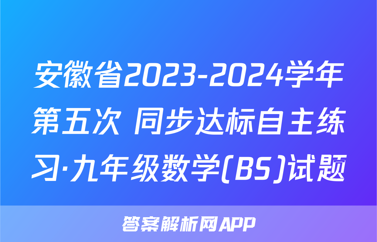 安徽省2023-2024学年第五次 同步达标自主练习·九年级数学(BS)试题