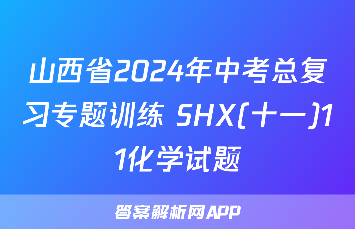 山西省2024年中考总复习专题训练 SHX(十一)11化学试题