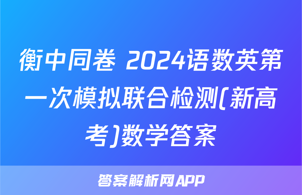 衡中同卷 2024语数英第一次模拟联合检测(新高考)数学答案