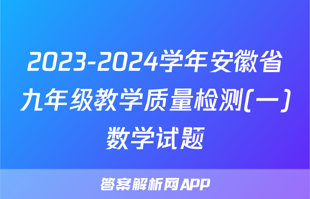 2023-2024学年安徽省九年级教学质量检测(一)数学试题