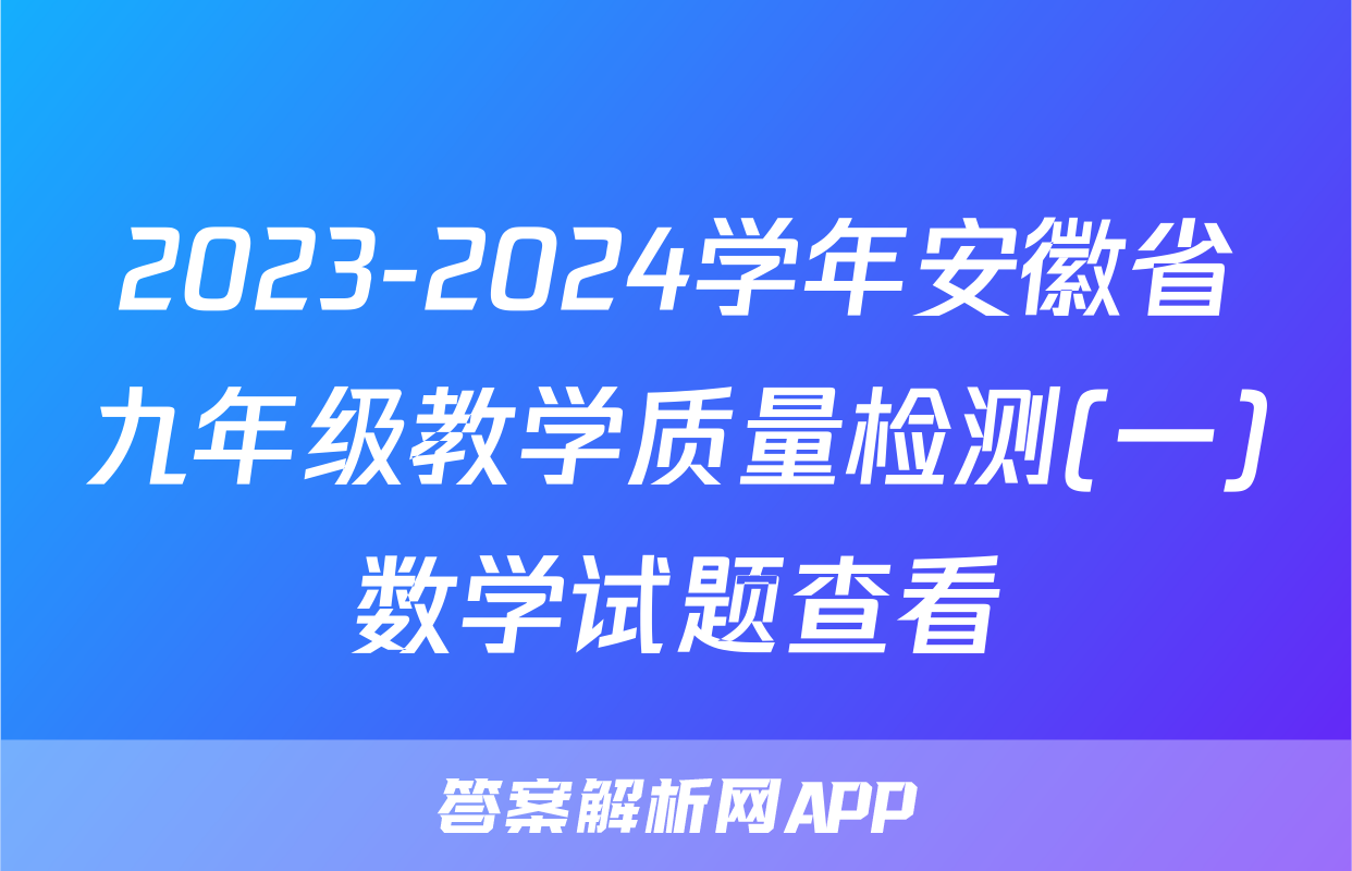2023-2024学年安徽省九年级教学质量检测(一)数学试题查看