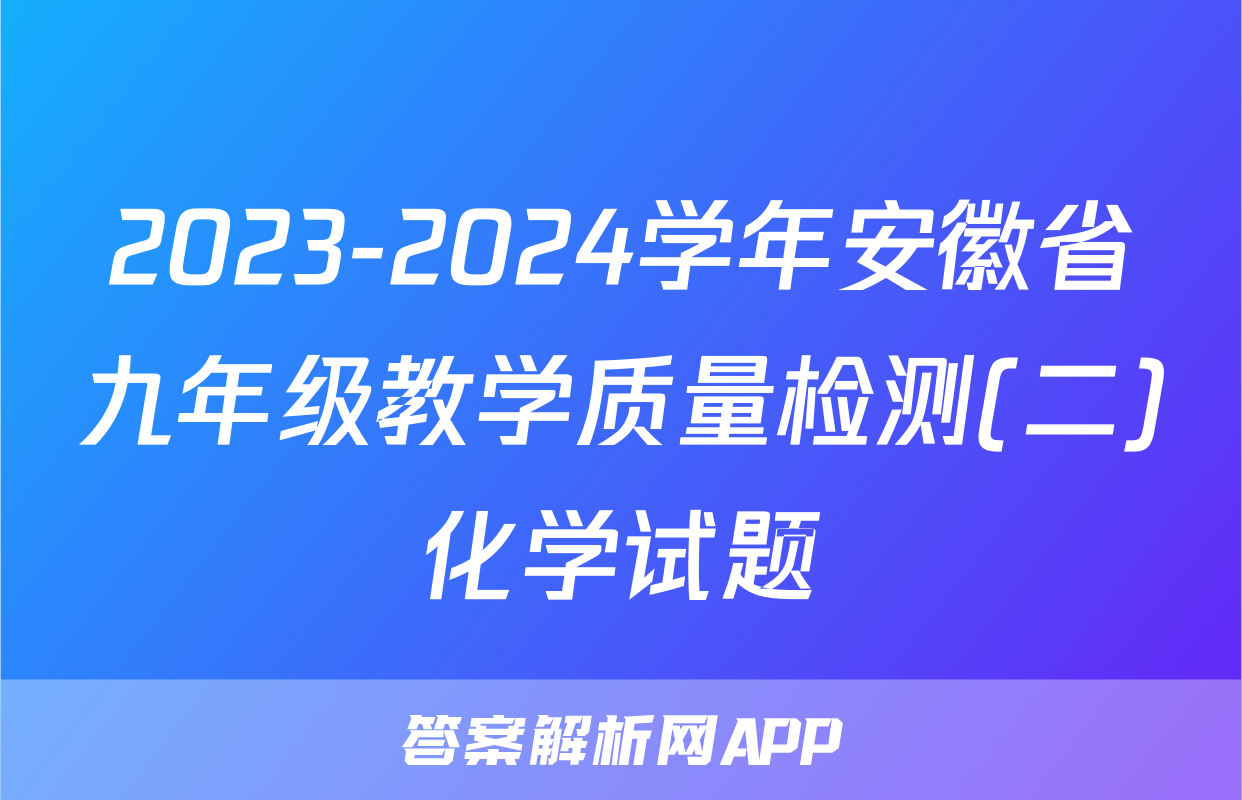 2023-2024学年安徽省九年级教学质量检测(二)化学试题