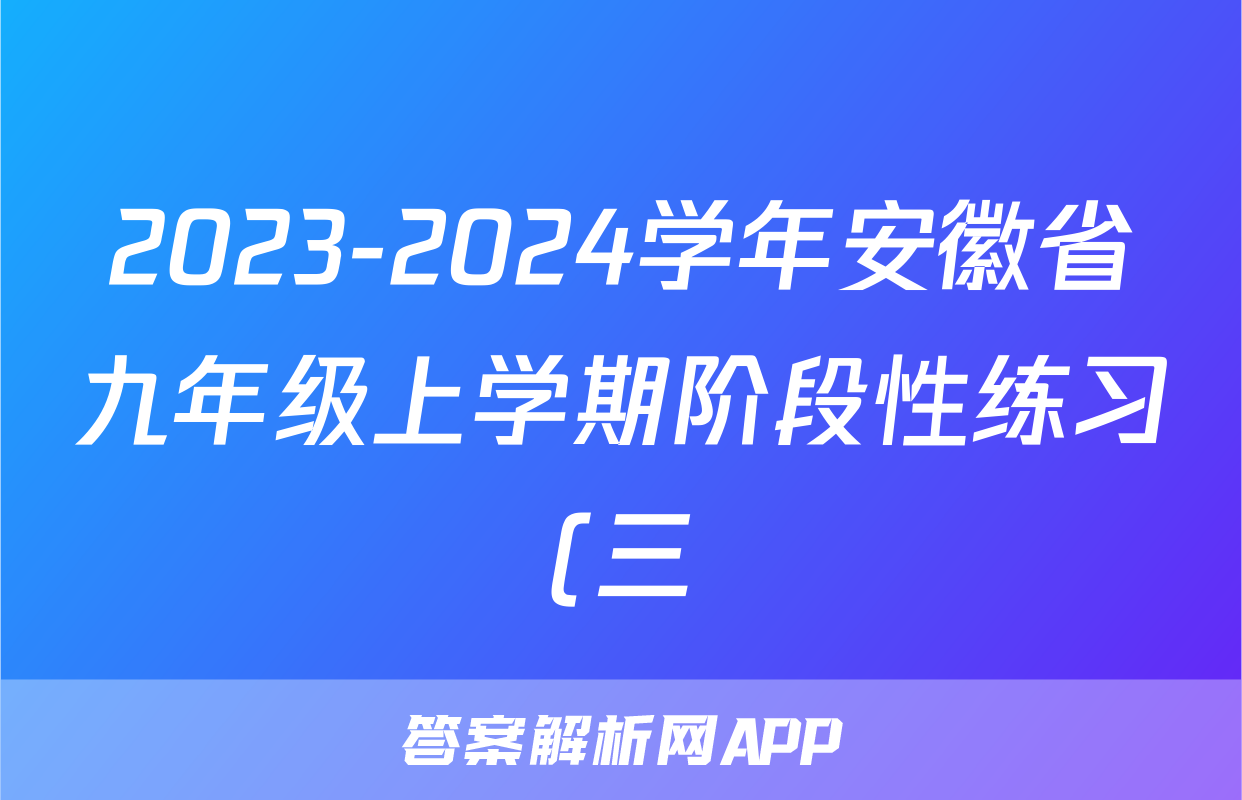 2023-2024学年安徽省九年级上学期阶段性练习(三)3地理试题