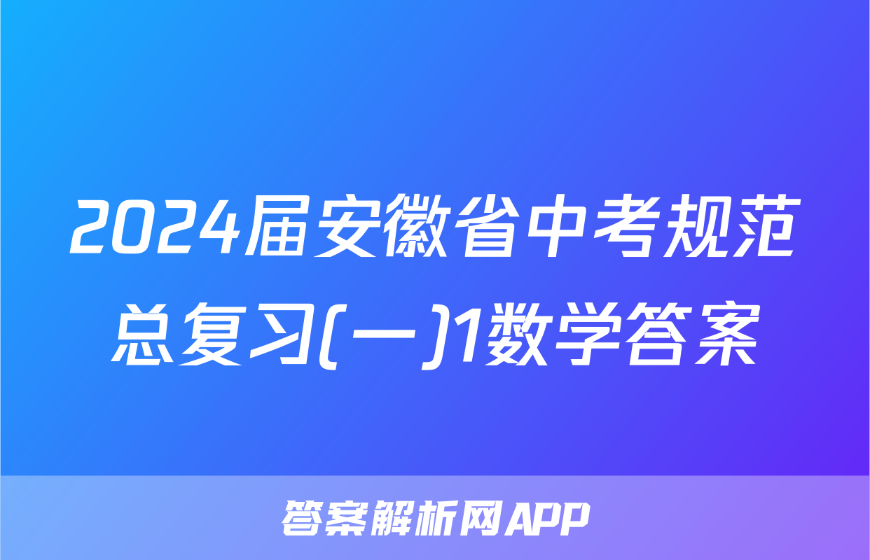 2024届安徽省中考规范总复习(一)1数学答案