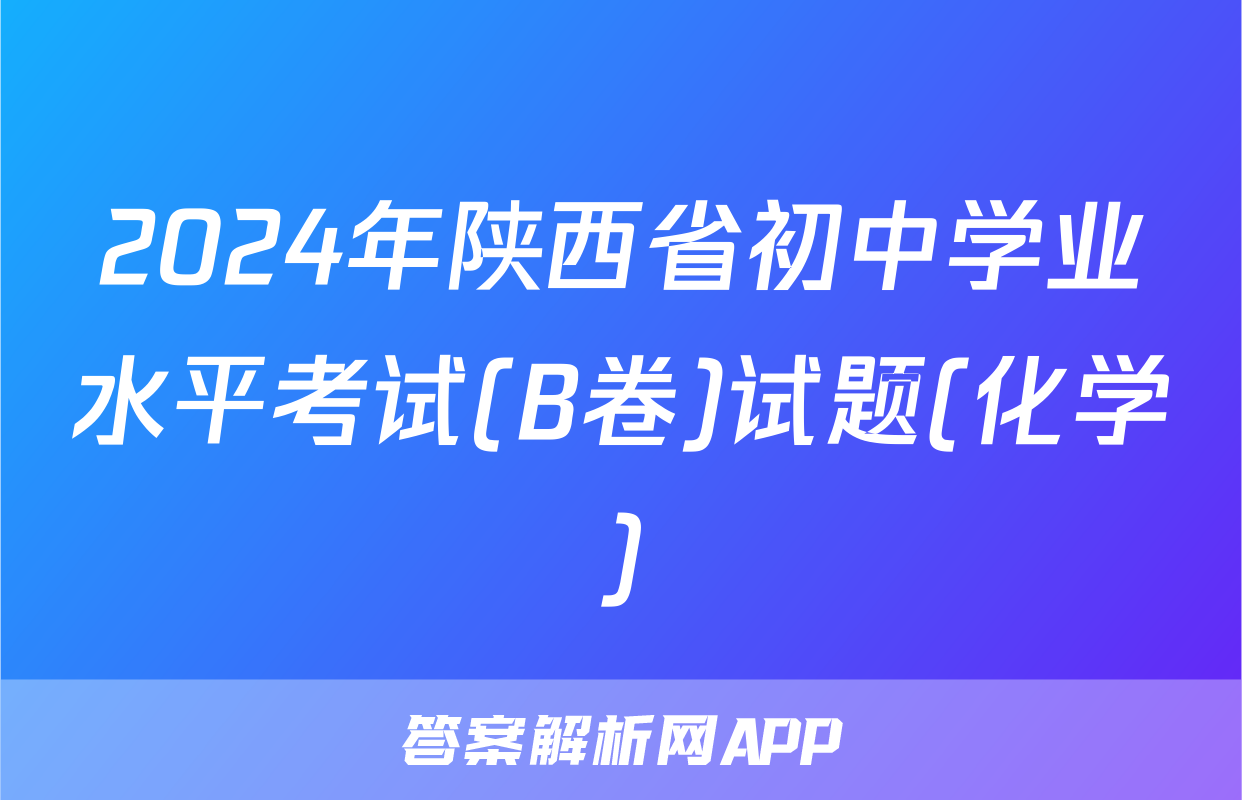 2024年陕西省初中学业水平考试(B卷)试题(化学)