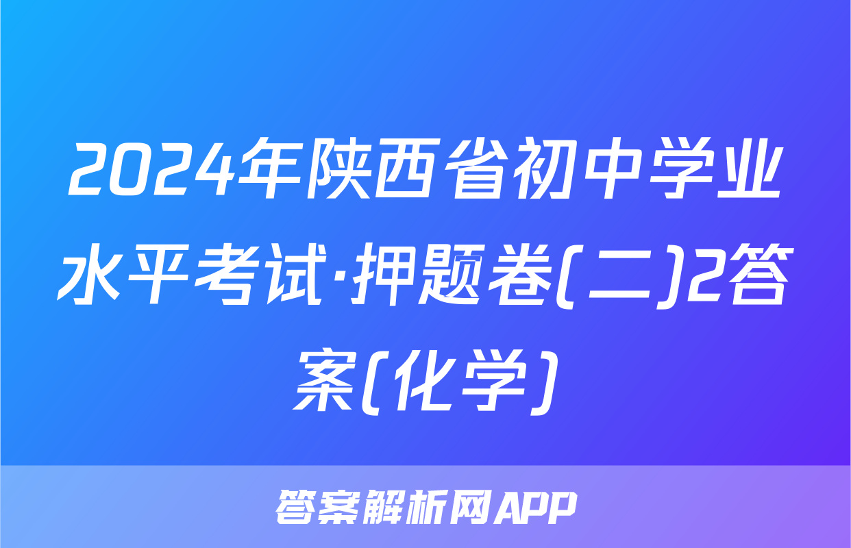 2024年陕西省初中学业水平考试·押题卷(二)2答案(化学)