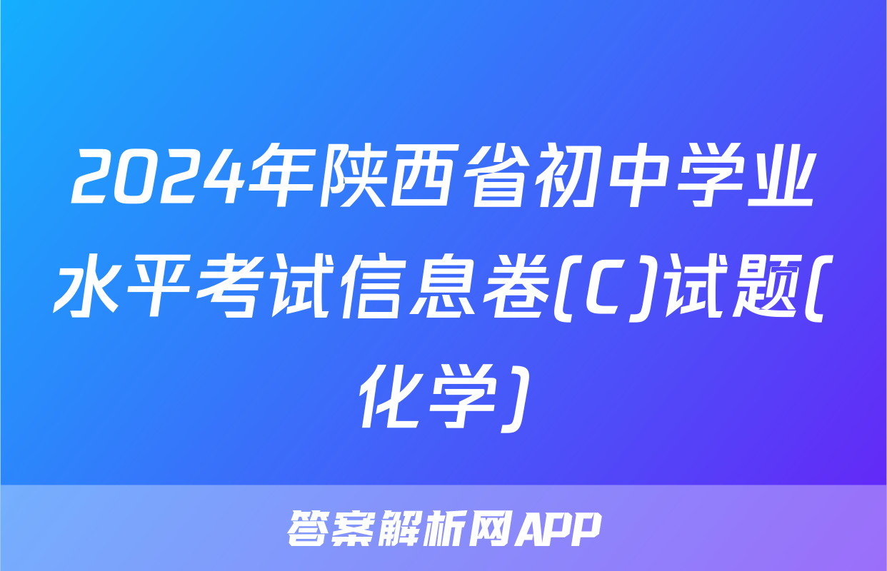 2024年陕西省初中学业水平考试信息卷(C)试题(化学)