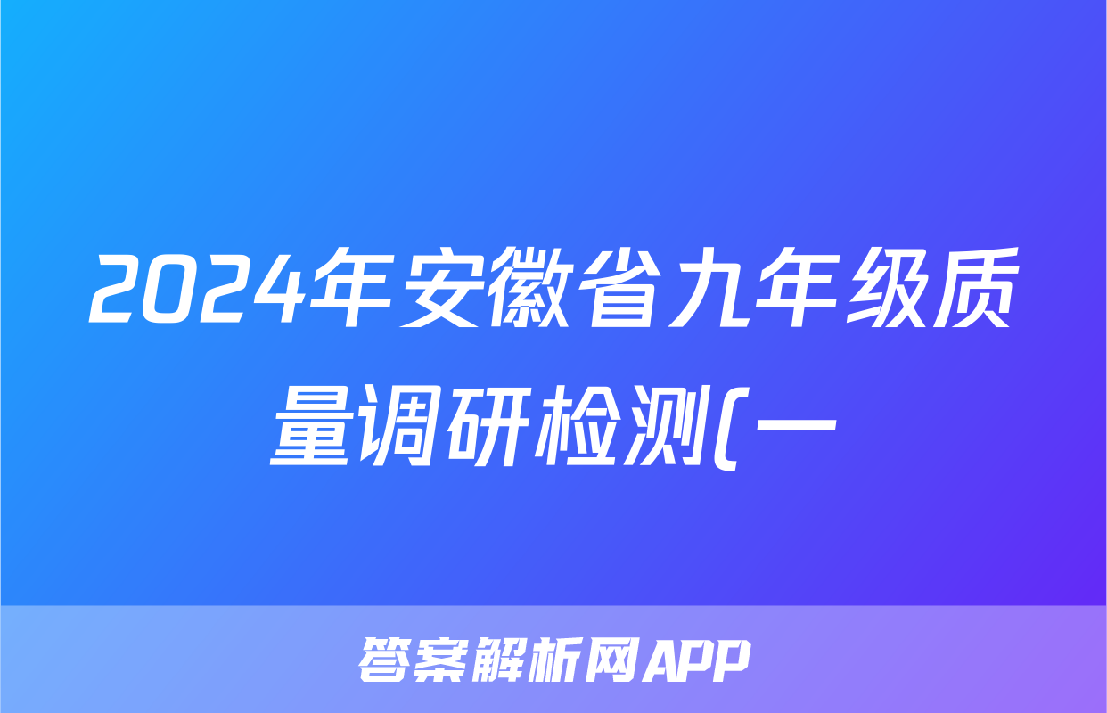 2024年安徽省九年级质量调研检测(一)1化学试题