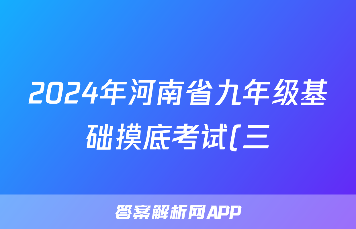 2024年河南省九年级基础摸底考试(三)理数答案
