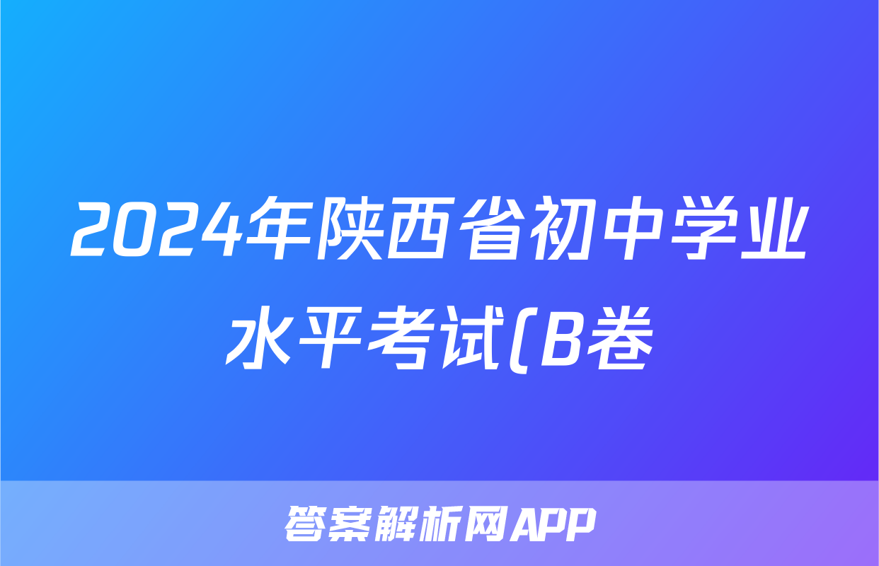 2024年陕西省初中学业水平考试(B卷)答案(化学)