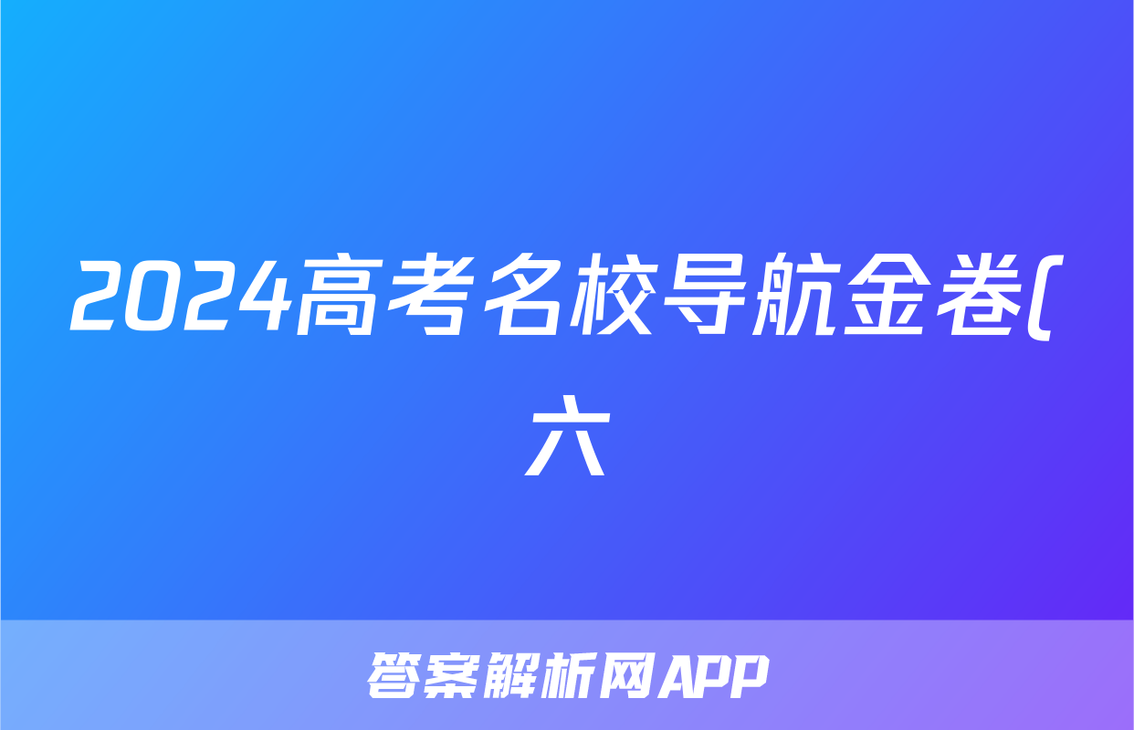 2024高考名校导航金卷(六)6政治答案
