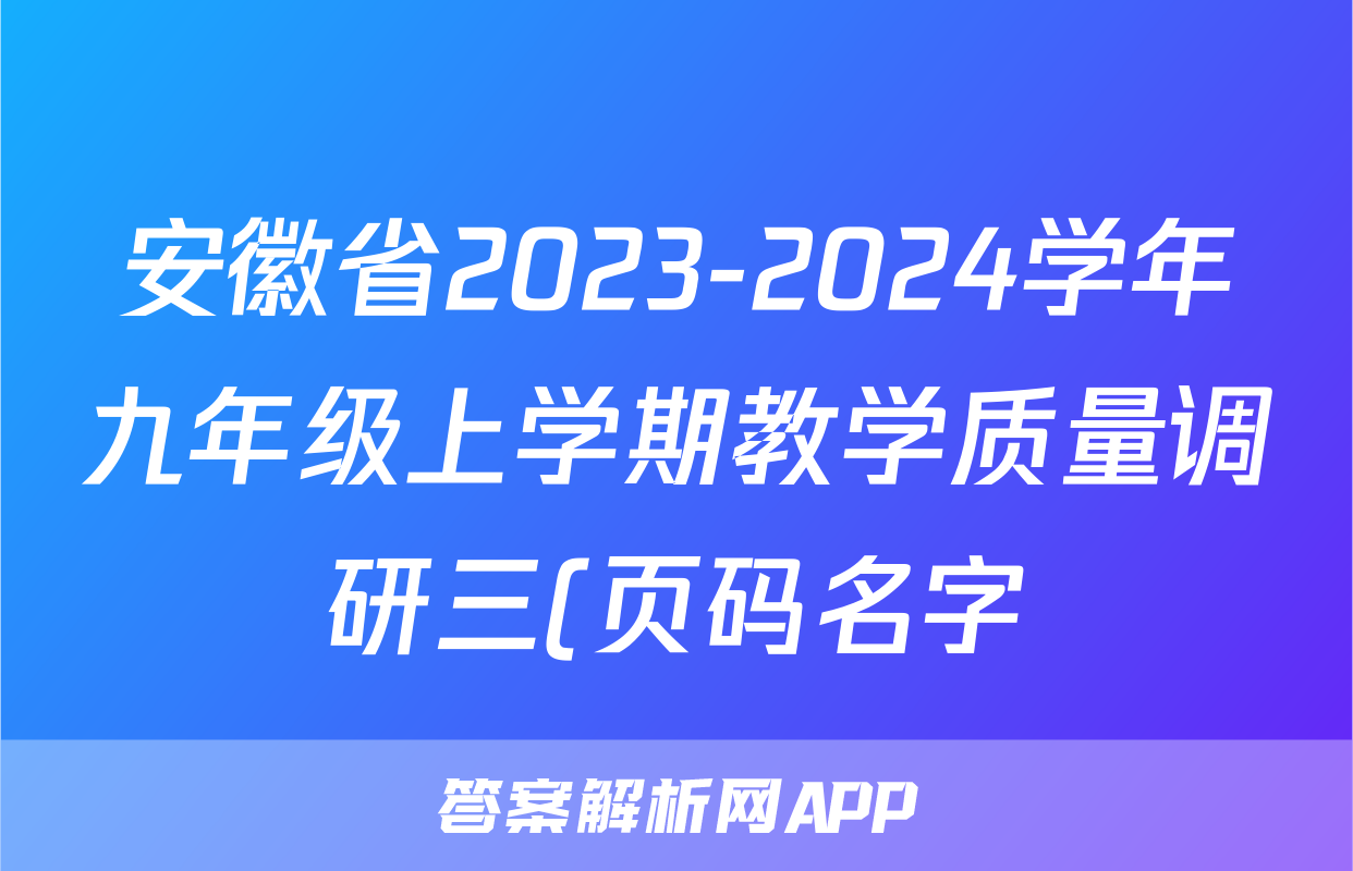 安徽省2023-2024学年九年级上学期教学质量调研三(页码名字)地理.