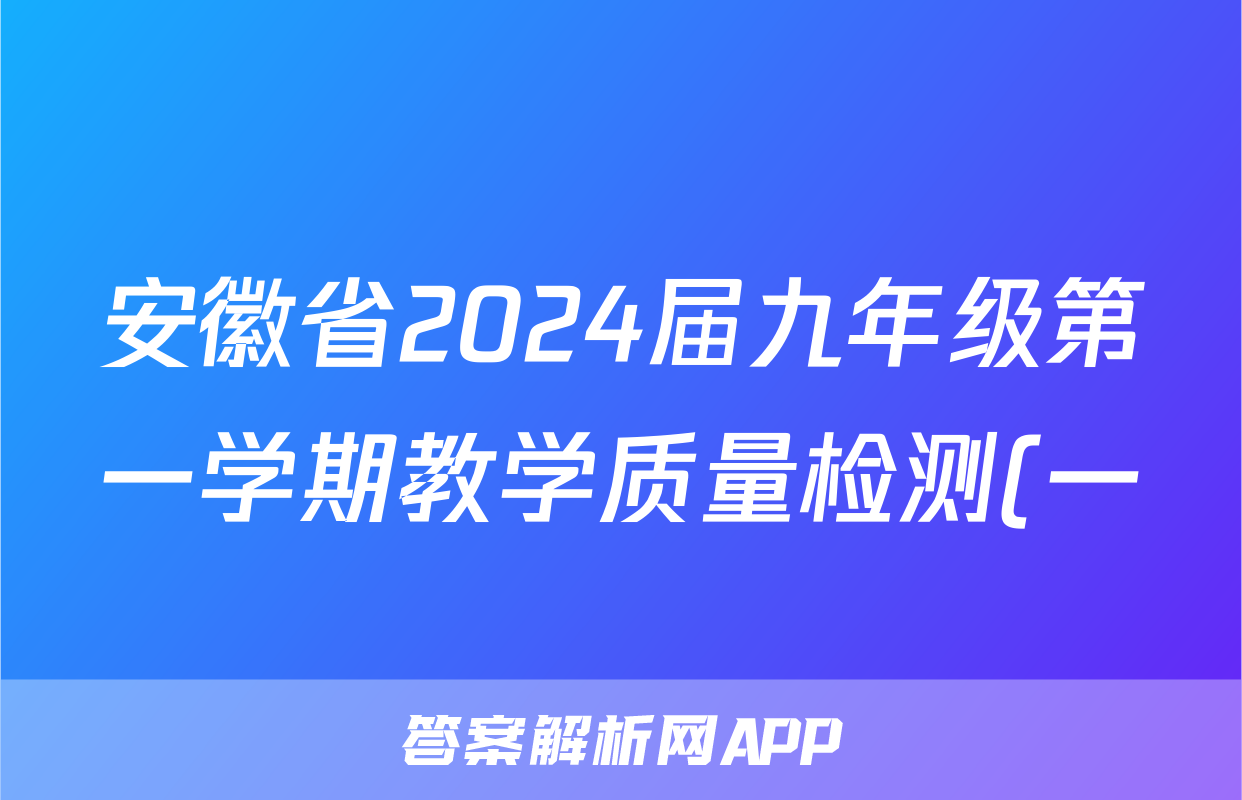 安徽省2024届九年级第一学期教学质量检测(一)x物理试卷答案