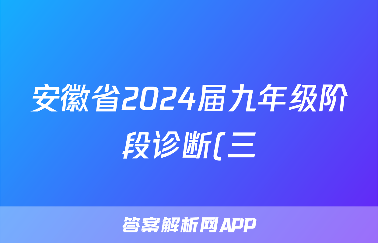 安徽省2024届九年级阶段诊断(三)语文x试卷
