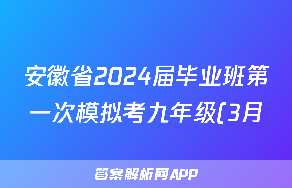 安徽省2024届毕业班第一次模拟考九年级(3月)化学试题