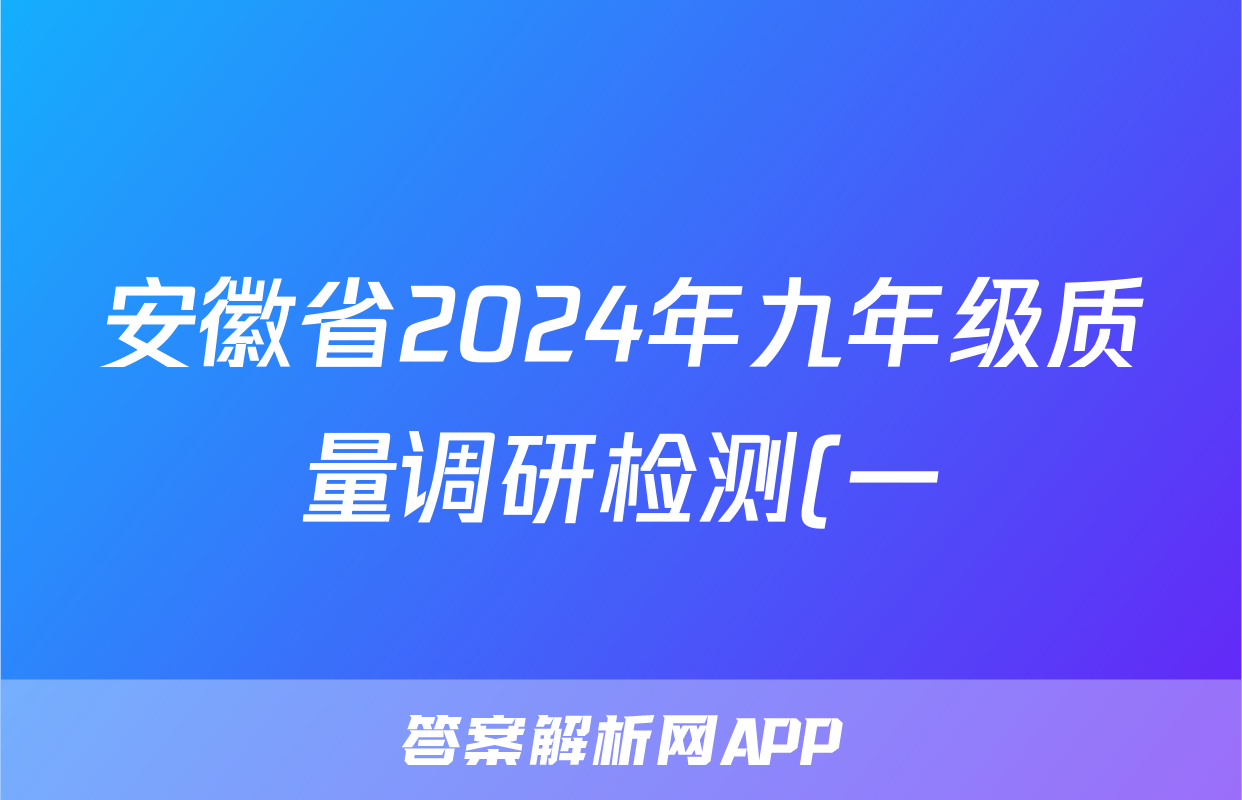 安徽省2024年九年级质量调研检测(一)1化学试题