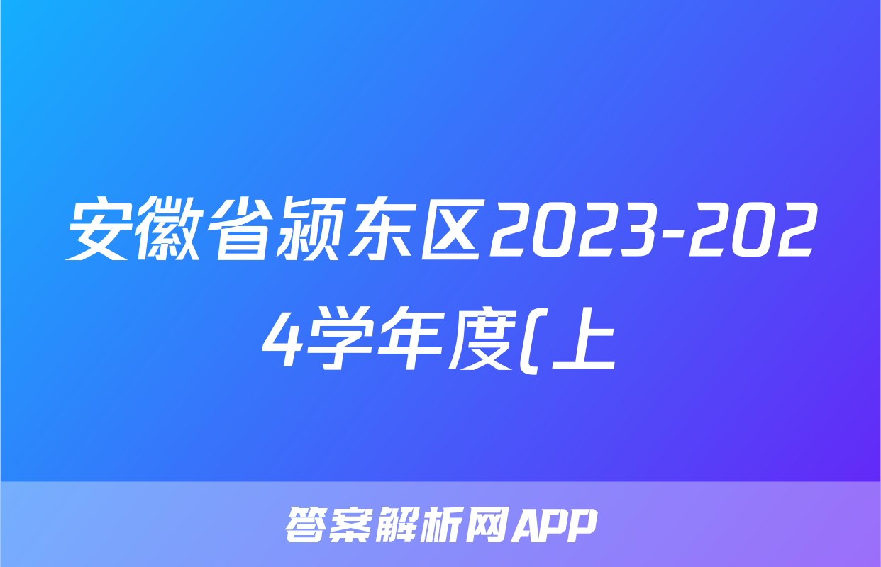 安徽省颍东区2023-2024学年度(上)九年级教学质量调研检测数学试题