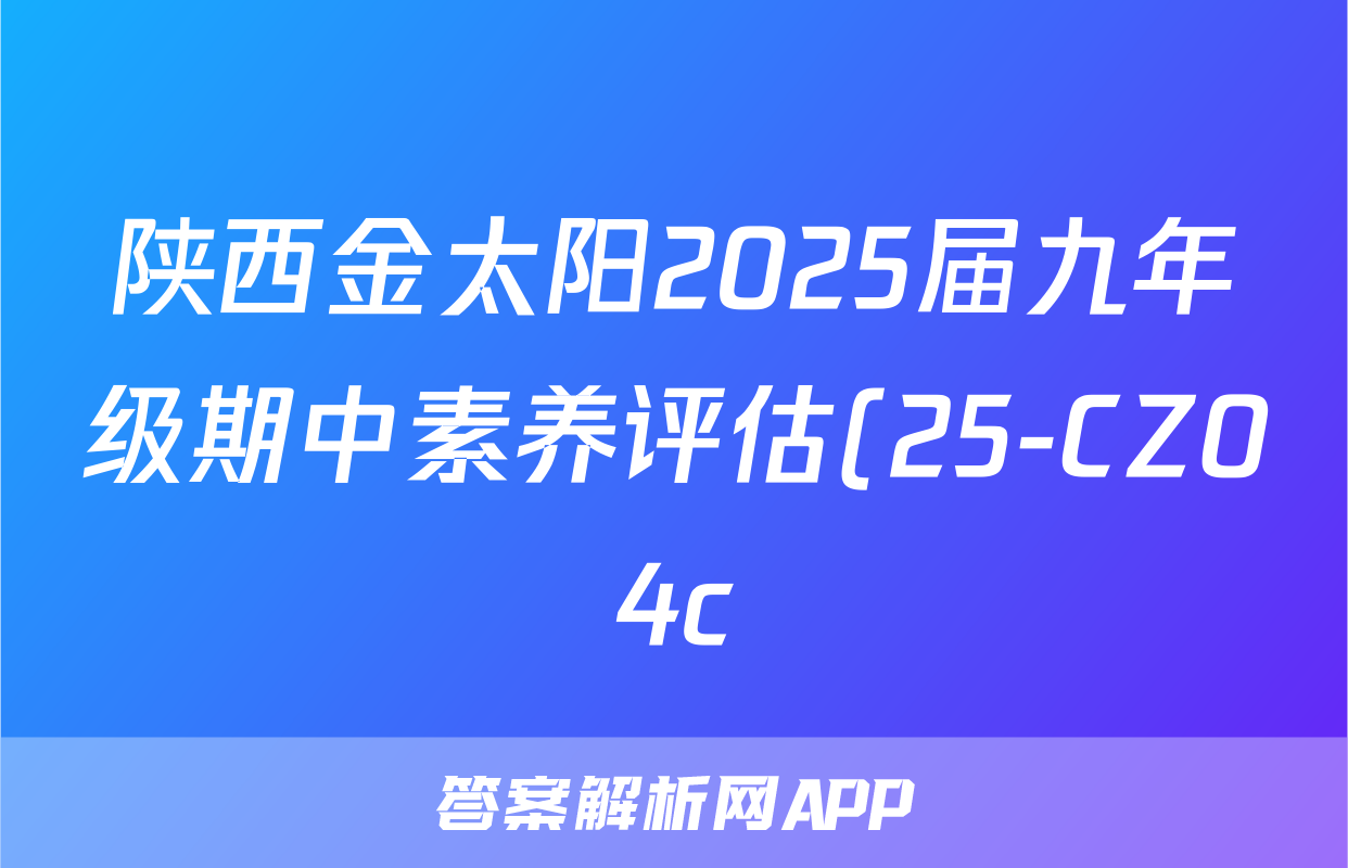 陕西金太阳2025届九年级期中素养评估(25-CZ04c)物理答案